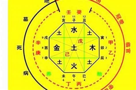 喜神是水|八字喜水人的建议 (喜用神为水的人戴什么最旺)